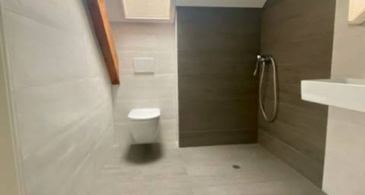 Magnifique appartement spacieux, adapté aux personnes à mobilité réduite, 3 pièces,  dans les  Combles, avec ascenceur image 6