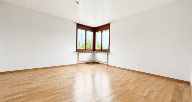 Traumhaus in Seenähe  Freistehendes Einfamilienhaus mit grossem Garte image 7