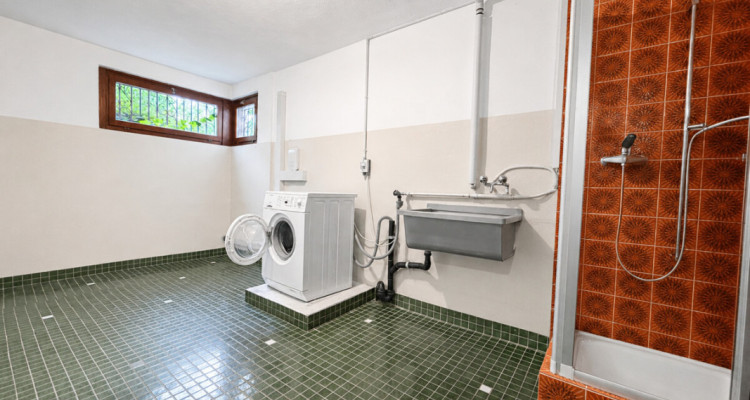 Traumhaus in Seenähe  Freistehendes Einfamilienhaus mit grossem Garte image 12