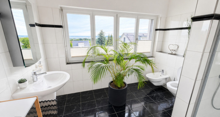 MODERN, FREISTEHEND MIT SEESICHT & BEHEIZBAREM POOL image 13