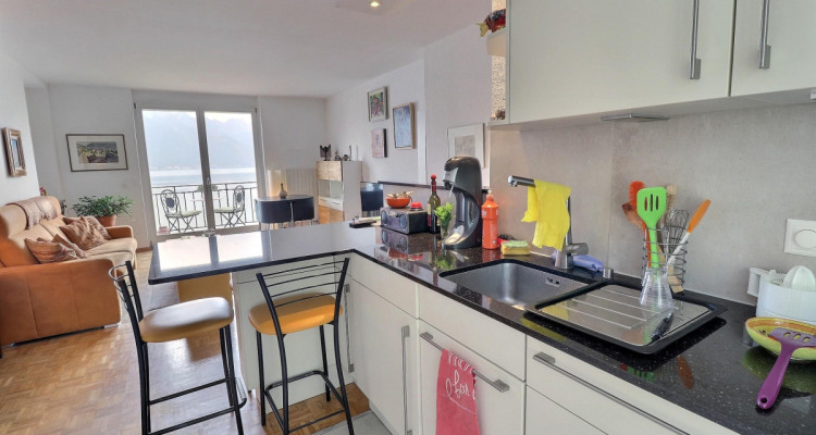Superbe appartement en viager occupé sans rente Vue Exceptionnelle sur le Lac à Territet (VD) image 3