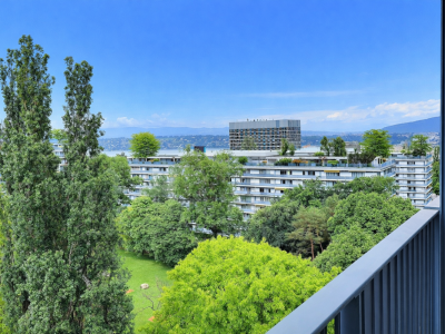 Superbe appartement en étage élevé avec piscine en viager occupé sans rente image 1