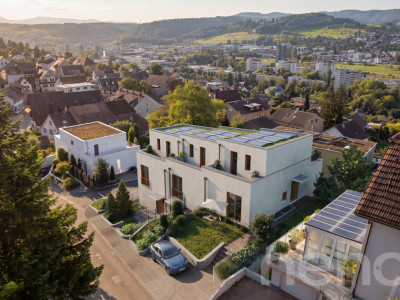 Reiheneckhaus mit Attika, Garten und Weitblick image 1