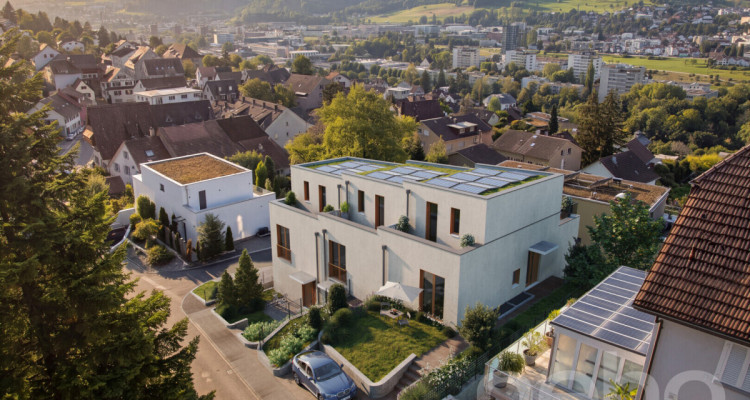 Reiheneckhaus mit Attika, Garten und Weitblick image 1
