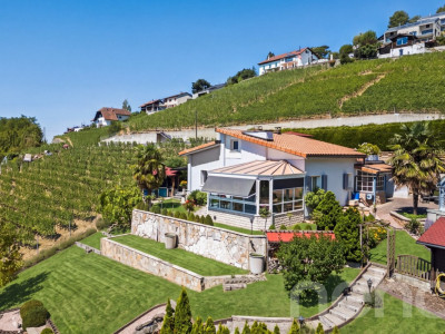 Entre Lac et vignes : une propriété rare à Grandvaux image 1