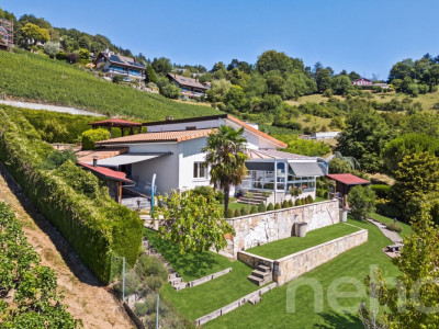 Entre Lac et vignes : une propriété rare à Grandvaux image 4