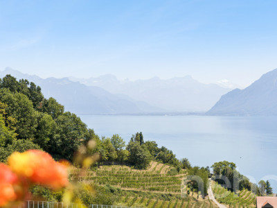 Entre Lac et vignes : une propriété rare à Grandvaux image 11