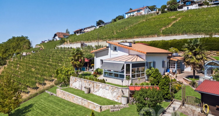 Entre Lac et vignes : une propriété rare à Grandvaux image 1