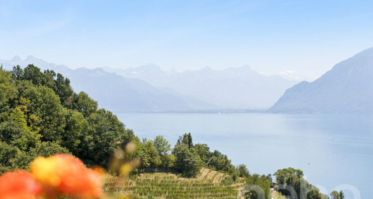 Entre Lac et vignes : une propriété rare à Grandvaux image 11