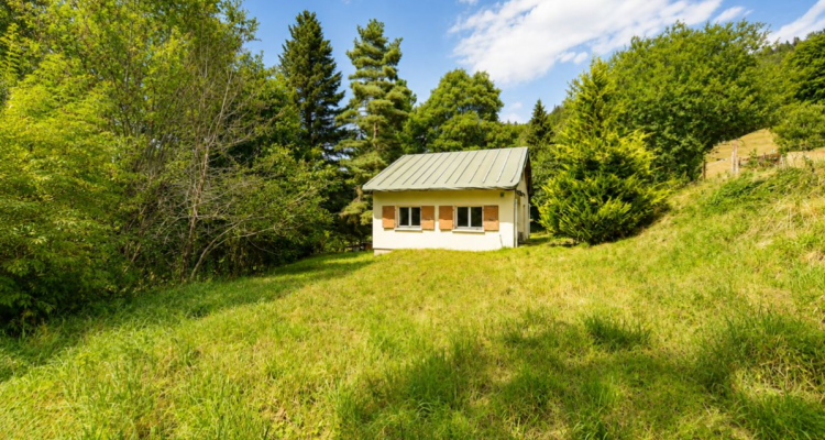 Maison à rénover avec beau potentiel à LAbbaye image 8