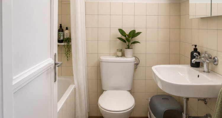 🏡 Grand studio aménagé (type 2.5 pièces) à Renens image 5