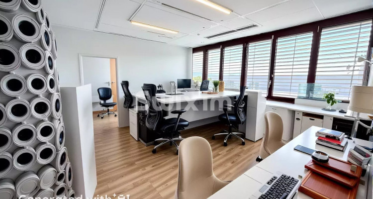 Local commercial polyvalent image 2