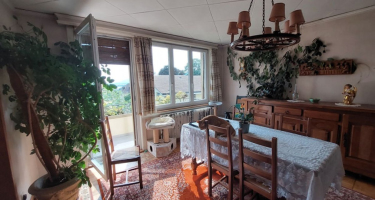 Maison villageoise avec jardin offrant deux appartements et un espace commercial image 7