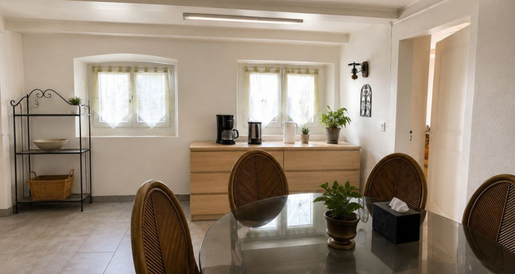 Maison villageoise avec jardin offrant deux appartements et un espace commercial image 11