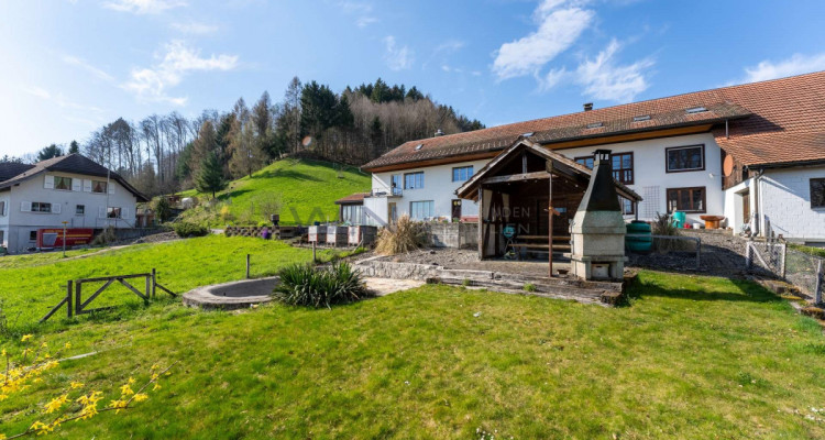 Harmonie von Alltag und Karriere image 11