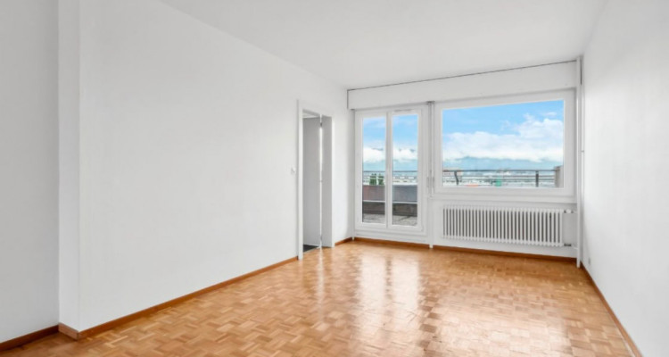 Superbe duplex de 6 pièces 140m2 au dernier étage à Onex  image 8