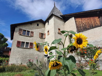 A VENDRE - BRAMOIS : En face du pont historique, 4.5 pièces avec jardin  image 2
