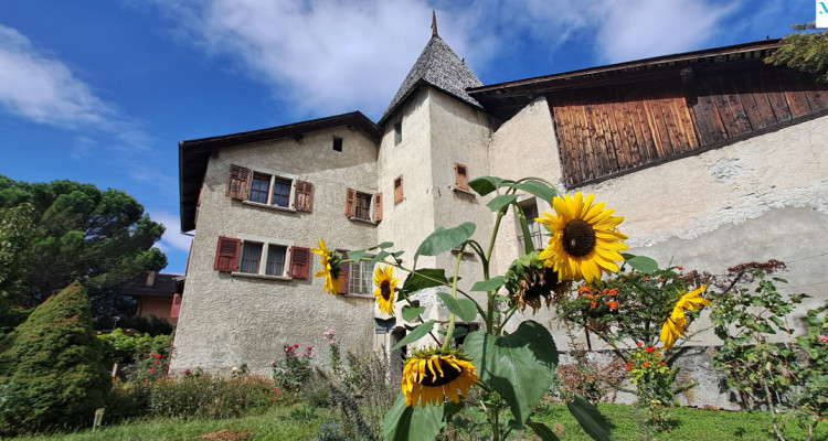 A VENDRE - BRAMOIS : En face du pont historique, 4.5 pièces avec jardin  image 2