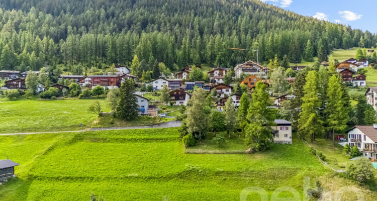3?520 m² Entwicklungsgrundstück mit Projektstudie in Davos Wiesen image 3