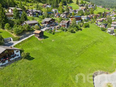Grosszügiges Grundstück mit Baulandanteil in Davos Wiesen image 3