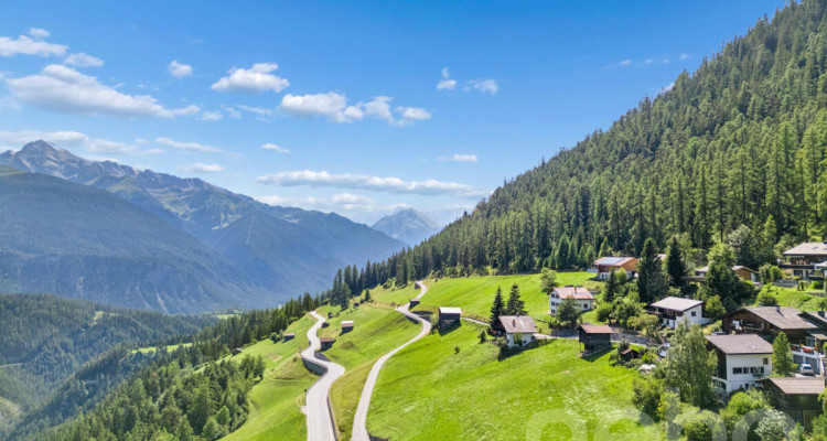 Grosszügiges Grundstück mit Baulandanteil in Davos Wiesen image 1