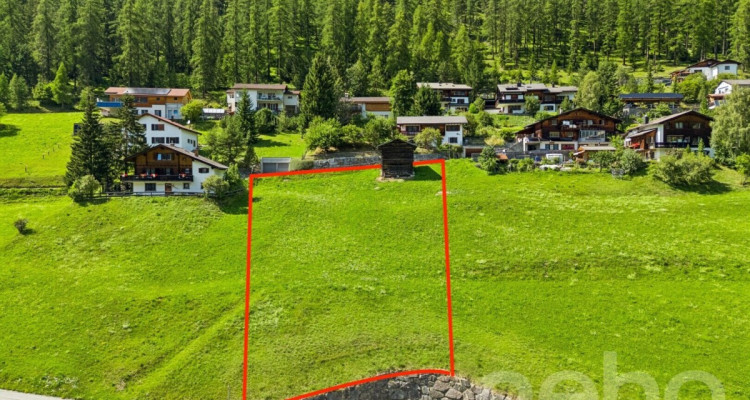 Grosszügiges Grundstück mit Baulandanteil in Davos Wiesen image 4