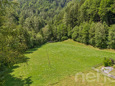Grosszügiges Bauland mit Projektstudie an naturnaher Lage in Vättis image 2