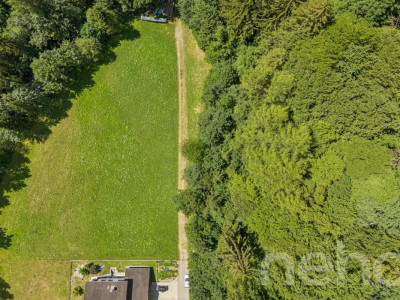 Grosszügiges Bauland mit Projektstudie an naturnaher Lage in Vättis image 3