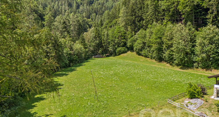 Grosszügiges Bauland mit Projektstudie an naturnaher Lage in Vättis image 2