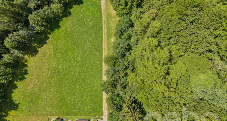 Grosszügiges Bauland mit Projektstudie an naturnaher Lage in Vättis image 3