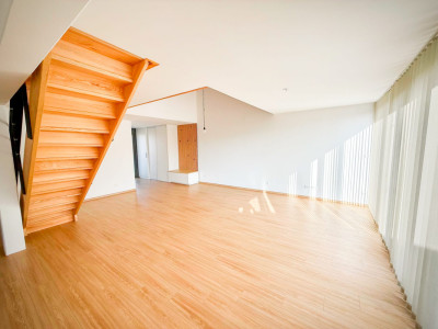 Loft-Penthouse et son Rooftop à 360°, à la frontière en France image 6