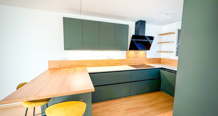 Loft-Penthouse et son Rooftop à 360°, à la frontière en France image 4