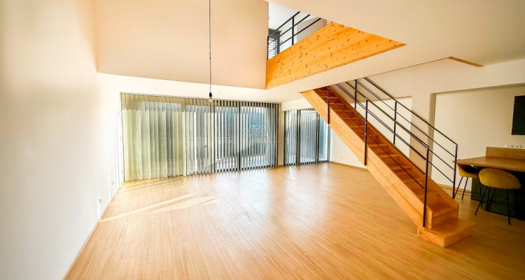 Loft-Penthouse et son Rooftop à 360°, à la frontière en France image 3