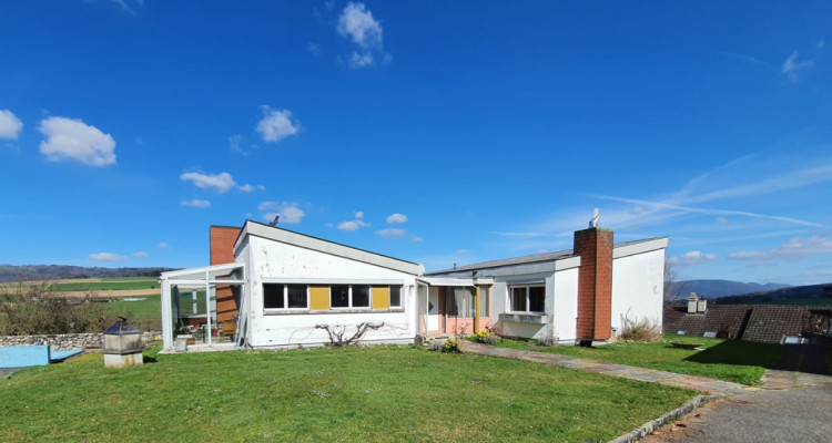 🏡 FORT POTENTIEL & CADRE DE VIE PAISIBLE À COURFAIVRE ! 🌟 image 7