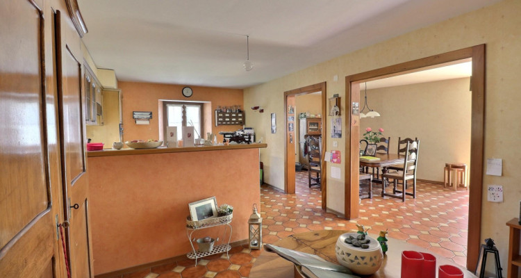 Jolie maison de village en viager occupé sans rente image 7