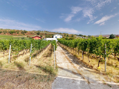 Maison 5.5p au Landeron avec vignes et fort potentiel image 5