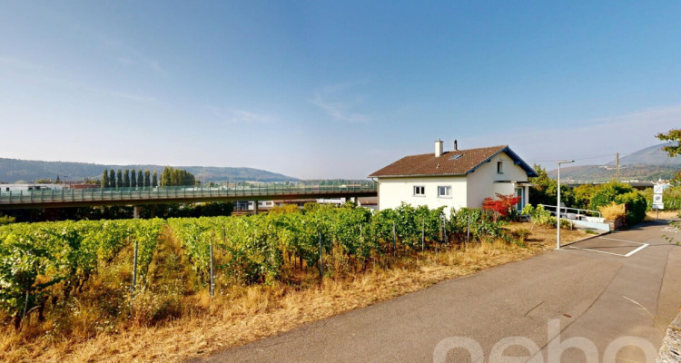 Maison 5.5p au Landeron avec vignes et fort potentiel image 3