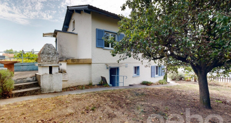 Maison 5.5p au Landeron avec vignes et fort potentiel image 10