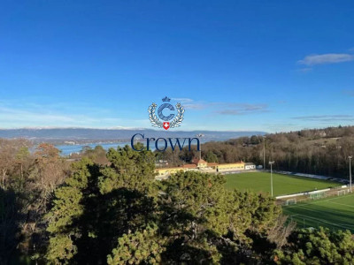 Spectacular view in Cologny image 1