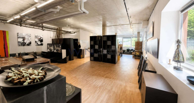 Exklusives Loft am See image 5