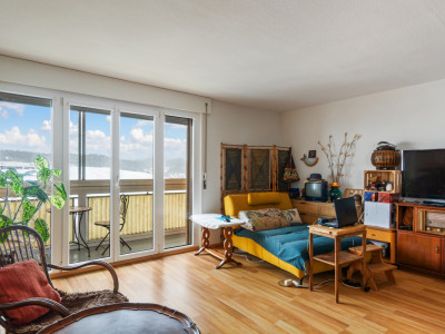 Idéal 1er investissement !! 3.5 pces avec vue dégagée déjà loué !!  image 12