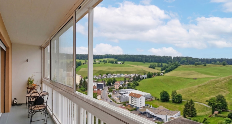 Idéal 1er investissement !! 3.5 pces avec vue dégagée déjà loué !!  image 8