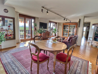 Magnifique duplex en attique en viager occupé sans rente image 1