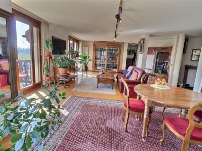 Magnifique duplex en attique en viager occupé sans rente image 2