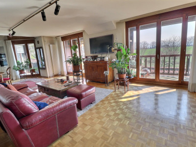 Magnifique duplex en attique en viager occupé sans rente image 3