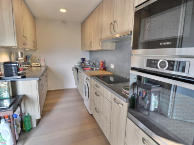 Magnifique duplex en attique en viager occupé sans rente image 6