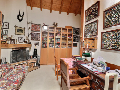 Magnifique duplex en attique en viager occupé sans rente image 7
