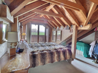 Magnifique duplex en attique en viager occupé sans rente image 9