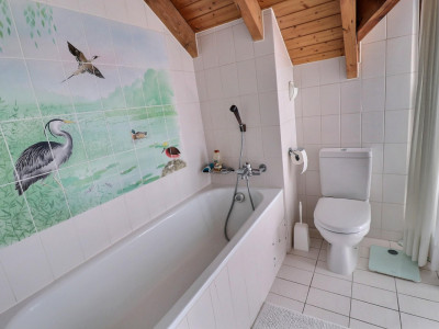 Magnifique duplex en attique en viager occupé sans rente image 11
