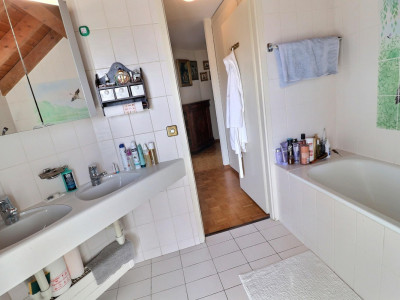 Magnifique duplex en attique en viager occupé sans rente image 12